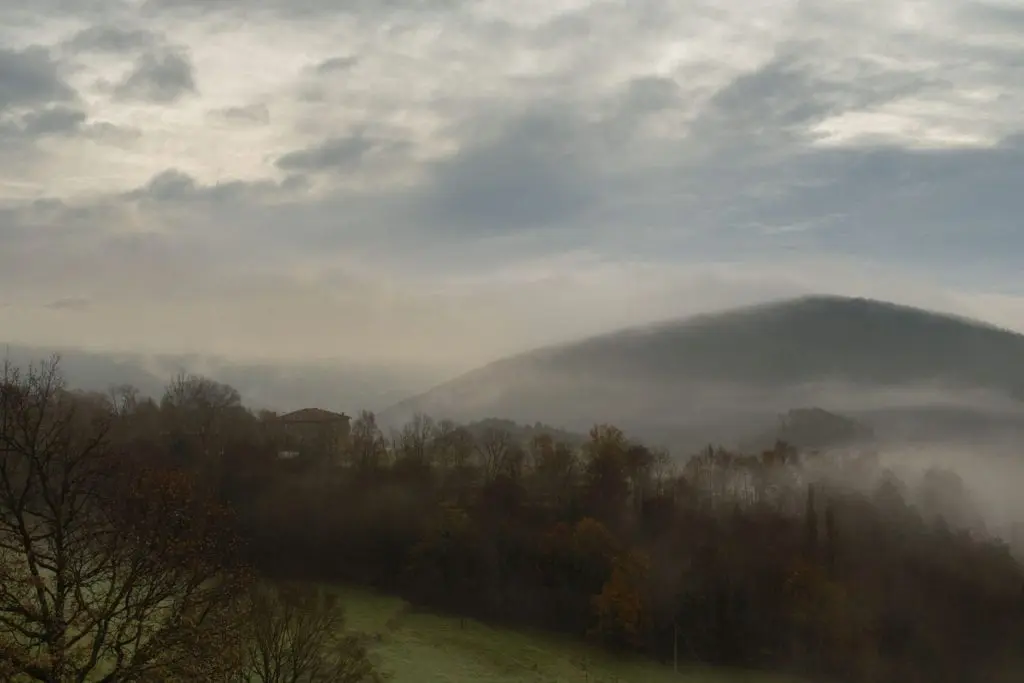 Mas el Mir in the morning Inbal cabiri