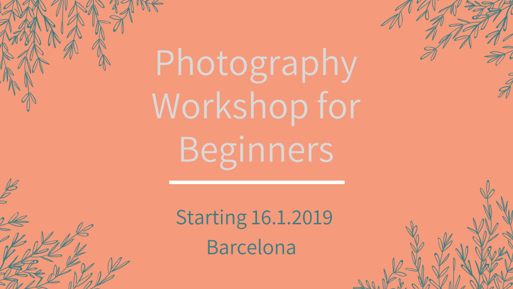 Read more about the article Photography Workshop for Beginners