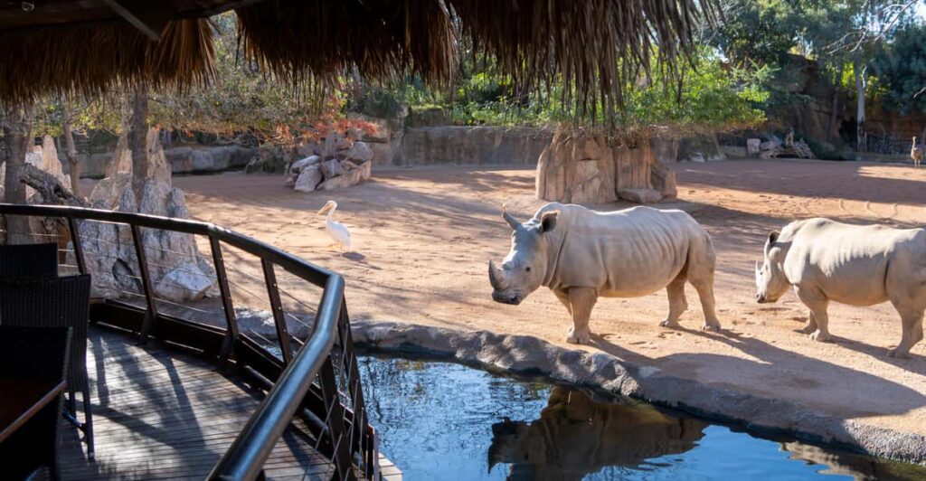 ביופארק ולנסיה