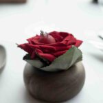 מסע קולינרי בבאסקים סן סבסטיאן בילבאו ריוחה