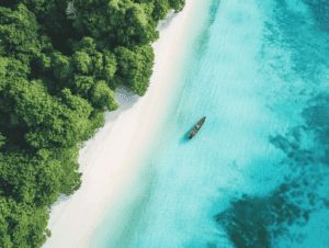 קיימות בתיירות, תיירות יתר 2025