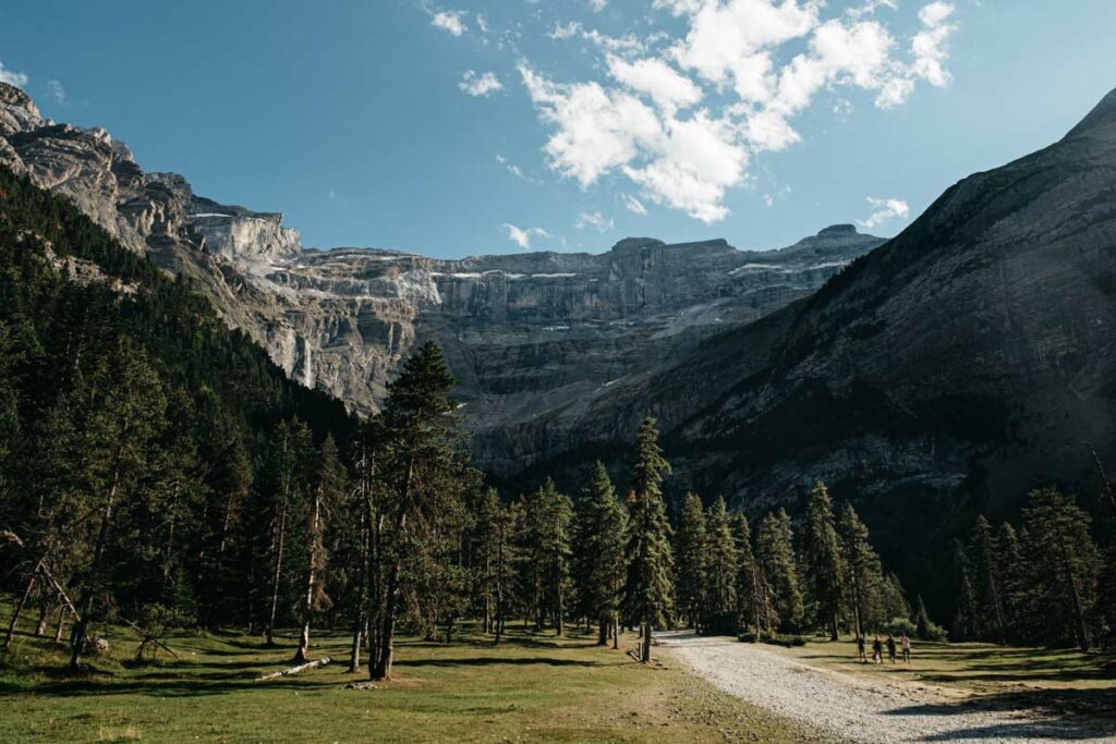 קרקס גבארני