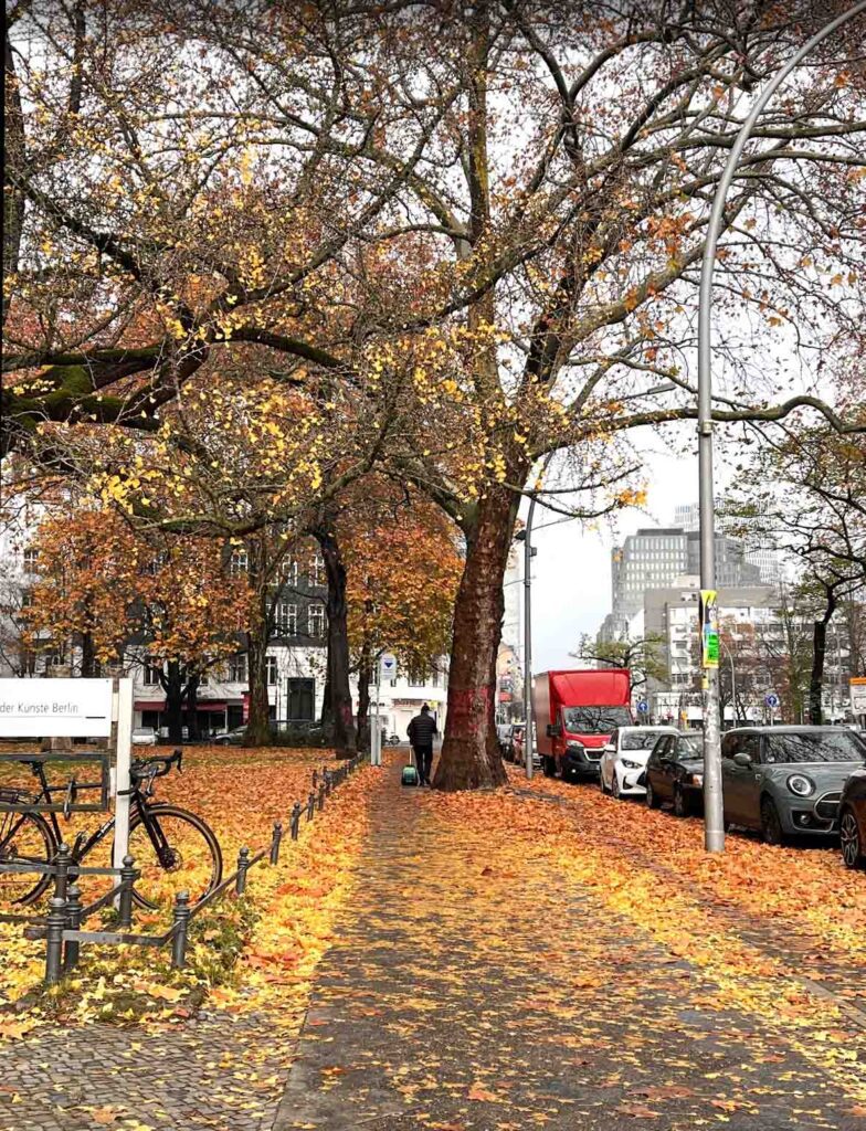 שלכת בברלין ענבל כבירי