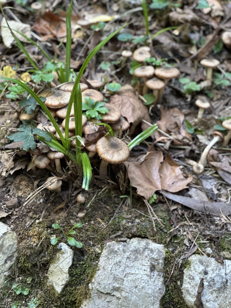 צילום: רוני מינינברג