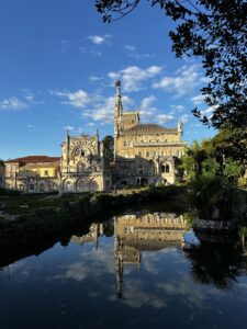 רוני מינינברג פורטוגל